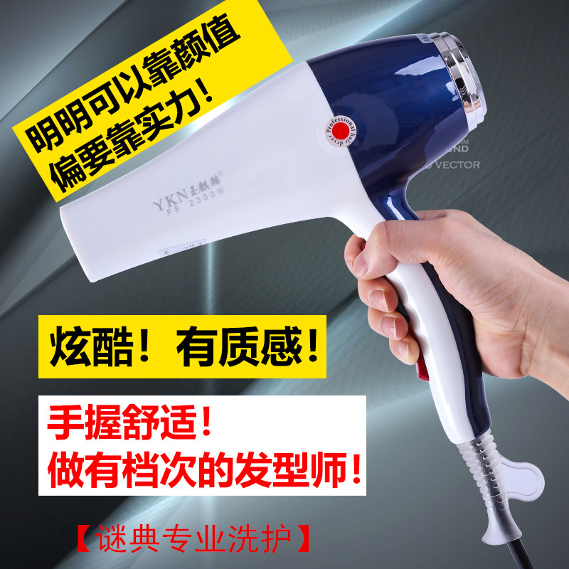 Óñ÷è÷ëF8´µ·ç»ú2300W´ó¹¦ÂÊÀí·¢µê·¢ÀȼÒÓÃרҵÀäÈȵ紵Ͳ¸ºÀë×Ó
