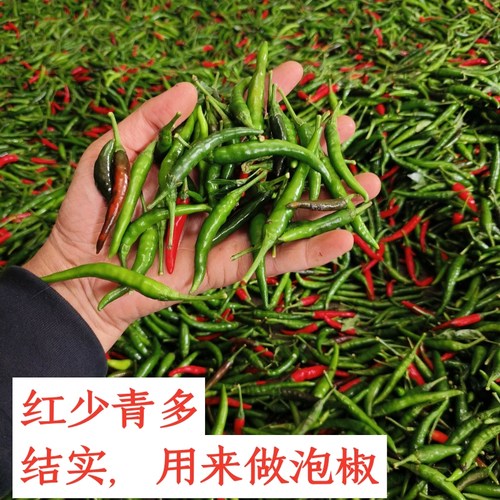 新鲜辣椒朝天椒家乡特产当季蔬菜