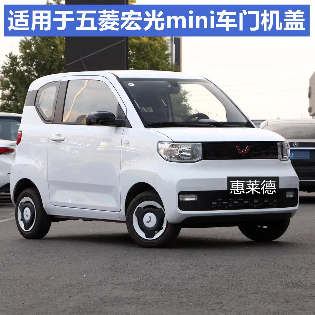 适用于五菱宏光MINIEV车门