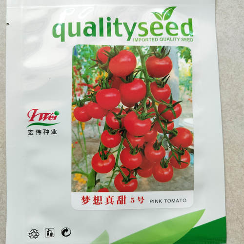 亮红色瀑布型番茄圆果15-20克