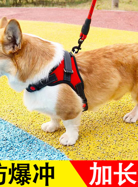 狗狗牵引绳金毛马犬哈士奇大中小型犬狗链子胸背带背心式遛狗狗绳