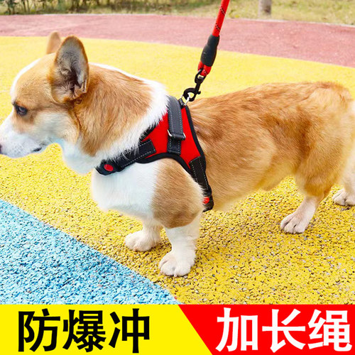 金毛大中小型犬背心式狗狗牵引绳