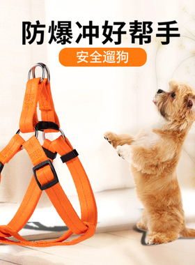 单个背带式狗链子牵引绳遛狗牵引绳小型犬泰迪背心式柯基宠物用品