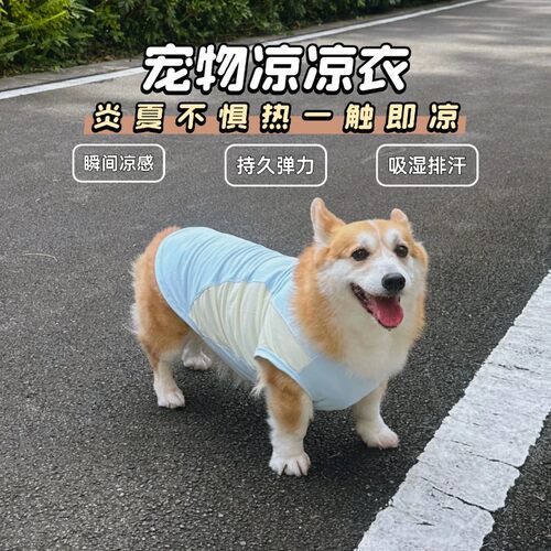 宠物背心比熊柯基狗狗衣服夏季薄款冰丝凉凉衣透气速干防晒背心