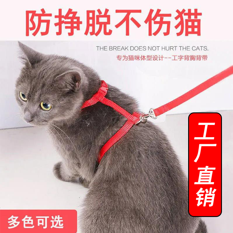 猫咪牵引绳小猫绳工字型防挣脱外出专用遛猫绳网红兔子幼猫链项圈