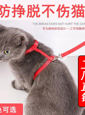 猫咪牵引绳小猫绳工字型防挣脱外出专用遛猫绳网红兔子幼猫链项圈