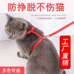 猫咪牵引绳小猫绳工字型防挣脱外出专用遛猫绳网红兔子幼猫链项圈
