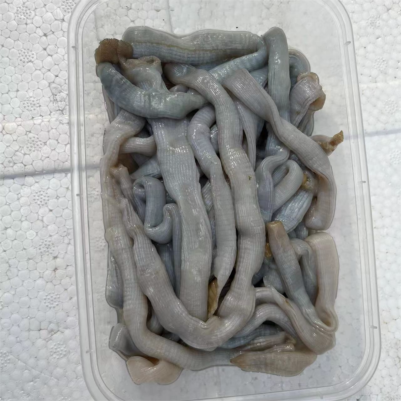 闽南冻去内脏沙虫土笋方格星虫净重约225g*5盒装顺丰包邮