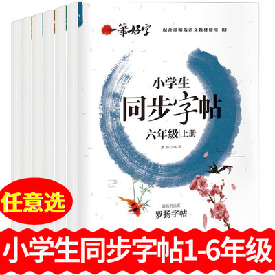 正版一二三四五六年级上下册新版罗扬一笔好字小学生同步字帖儿童青少年临摹字帖配合教材使用RJ人教版楷书钢笔铅笔硬笔课外练习