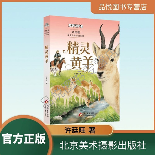 精灵黄羊 许廷旺著  草原动物小说/荒野守护者系列 非注音版  北京美术摄影出版社 小学3-6年级适合阅读  三/四/五/六年级推荐阅读
