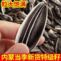 2025新货内蒙五原现炒熟原味瓜子葵花籽363大粒坚果年货零食5斤装