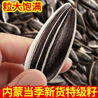 2025新货内蒙五原现炒熟原味瓜子葵花籽363大粒坚果年货零食5斤装