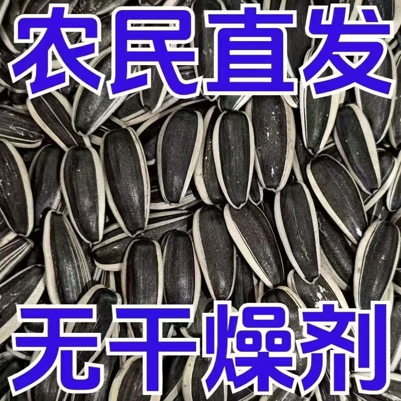 内蒙古生瓜子新货新鲜葵花籽原味瓜子批发净重生货香瓜子炒货零食