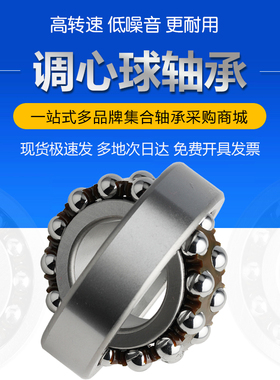 1300 1301 1302 1303 1304 1305 1306ATN AKTN 哈尔滨调心球轴承