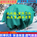 防风霜雨雪冻绿植盆栽 加厚无纺布冬季 植物果树花卉防寒保暖罩