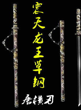 震天龙王草钢唐横刀龙泉市宝剑宝刀一体唐剑硬刀收藏剑兵器未开刃