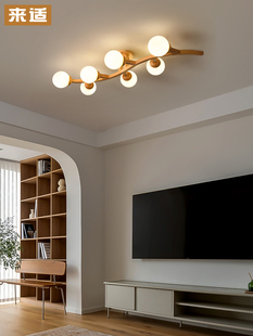 创意斯堪 过道走廊入口客厅卧室餐厅阳台灯简单实 纳维亚原木风格