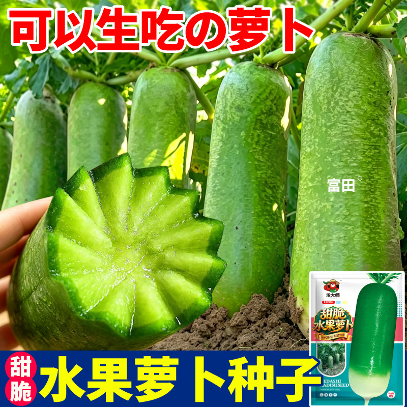 脆甜多汁水果萝卜青萝卜种籽高产易种可生吃韩白玉萝卜种子种植