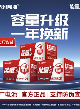 天能电池能量+2代系列12ah21ah铅酸蓄电池二轮三轮车石墨烯技术