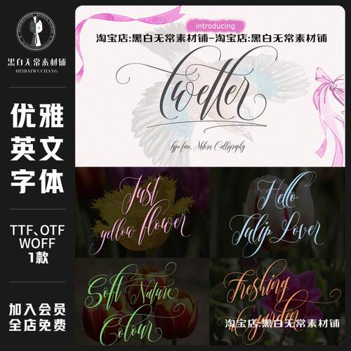 优雅花体连体手写标题logo婚礼邀请函英文字体安装美工设计素材包