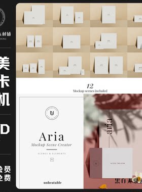 唯美文艺阴影邀请函卡片贺卡明信片情绪风设计展示PS样机模板素材