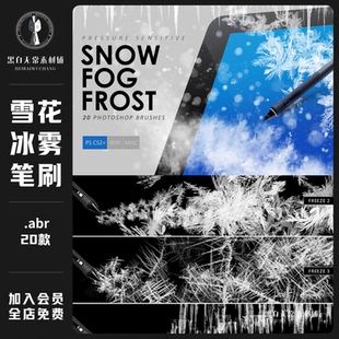 唯美透明雪花粒子飘散冰霜冰雾气体冰柱ps笔刷饭圈美工设计素材包