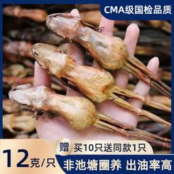 长白山雪蛤干整只林蛙干12克/只 正宗东北雪哈油蛤蟆油木瓜炖雪蛤