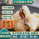 长白山特级雪蛤油东北林蛙买20g送20g优质联体油足龄足干高山雪蛤