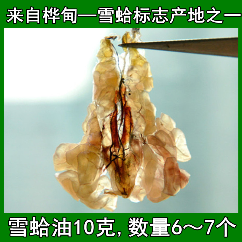 国检雪蛤油6年蛙长白山林蛙油蛤蟆油干货10g礼盒联体雪哈膏炖木瓜