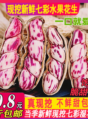 2026现挖新鲜七彩花生云南特产生花生农家自种湿花生嫩花生黑花生