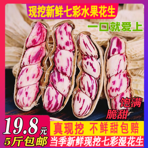 2026现挖新鲜七彩花生云南特产生花生农家自种湿花生嫩花生黑花生