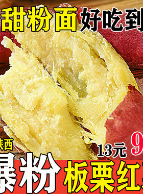 【官方正品】超粉超面板栗红薯