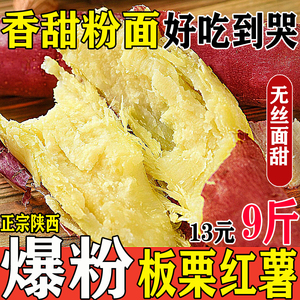 【官方正品】超粉超面板栗红薯