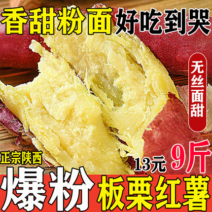 陕西正宗临潼板栗红薯现挖新鲜地瓜番薯农家自种小香薯沙地头地瓜