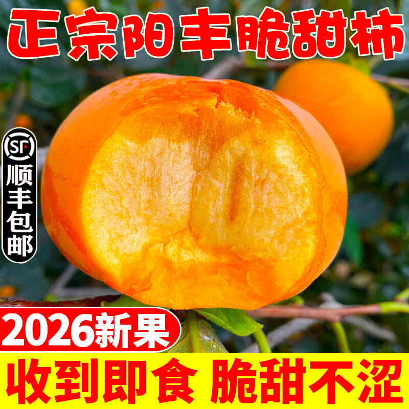 巧克力脆柿子9斤新鲜水果整箱脆甜硬柿子应当季批发柿子火晶包邮5
