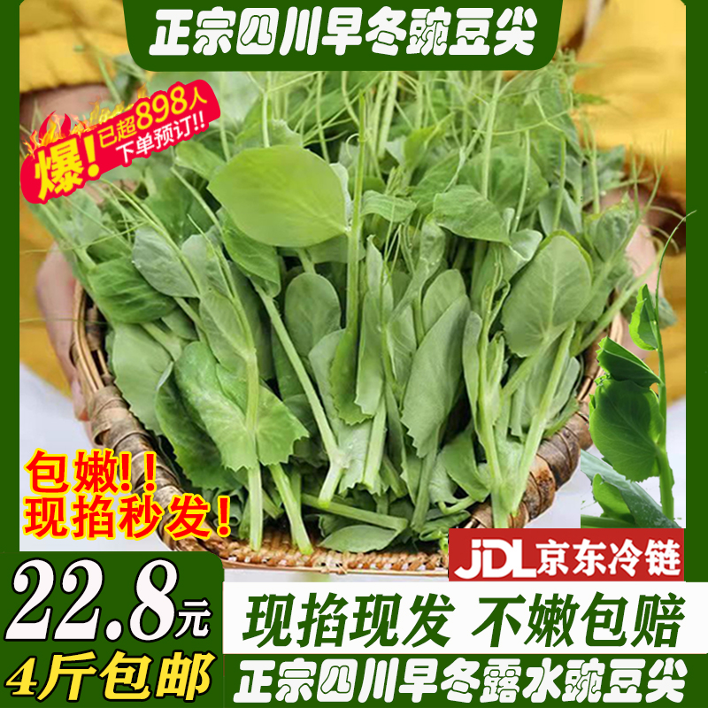 【官方力荐】正宗四川季嫩豌豆尖