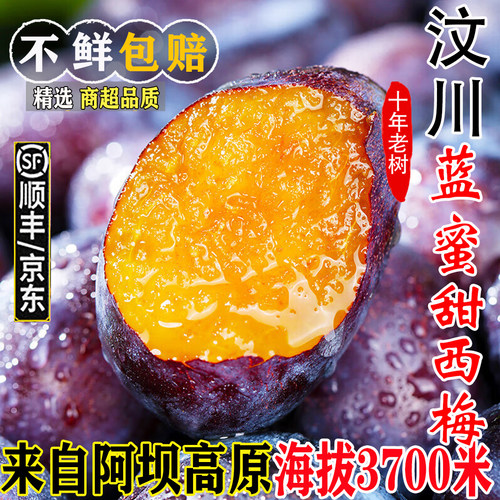 【官方力荐】正宗四川汶川甜西梅