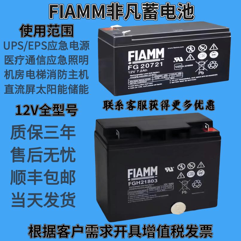 FIAMM非凡蓄电池12SP12V100AH150AH65AH38AH24AH 通讯UPS消防EPS