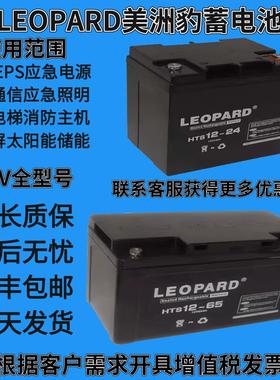 LEOPARD美洲豹蓄电池12V7A24A38A65A100AH消防直流屏UPS应急电源