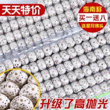 海南星月菩提子108颗素珠佛珠男女情侣手串项链正月高密大原籽