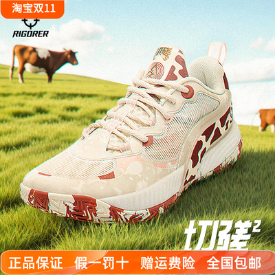 里弗斯同款AR切磋2准者篮球鞋男