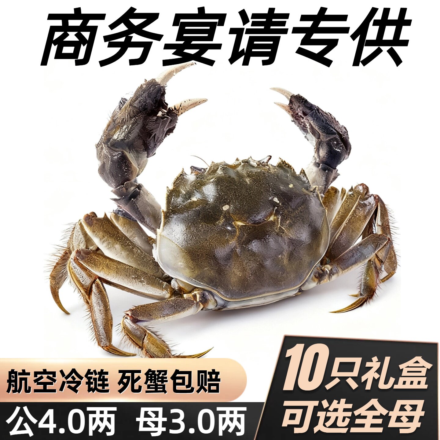 【热销爆款】精品大闸蟹10只礼盒
