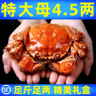 阳澄大闸蟹官方旗舰礼盒
