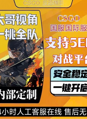 csgo/cs2/完美世界/steam官匹黑科技/5E平台国服国际服稳定辅协助