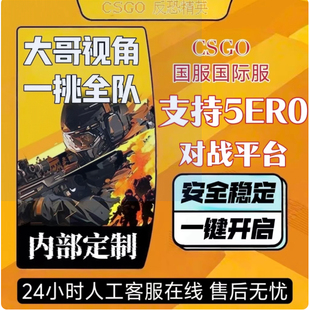csgo/cs2/世界/steam官匹黑科技/5E平台国服国际服稳定辅协助