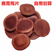 东北长白山吉林鹿茸残片鹿角血片干货红粉片泡酒煲汤泡水打粉50克