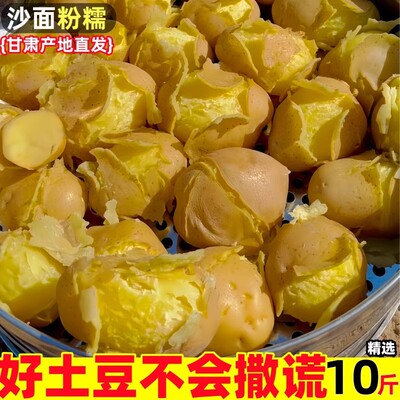 正宗定西沙面土豆现挖现挖9斤装