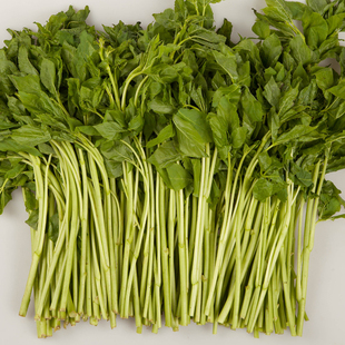 溪味道新鲜刺五加菜1斤东北山野菜刺果棒刺拐棒蘸酱菜