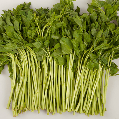 溪味道新鲜刺五加菜1斤东北山野菜刺果棒刺拐棒蘸酱菜