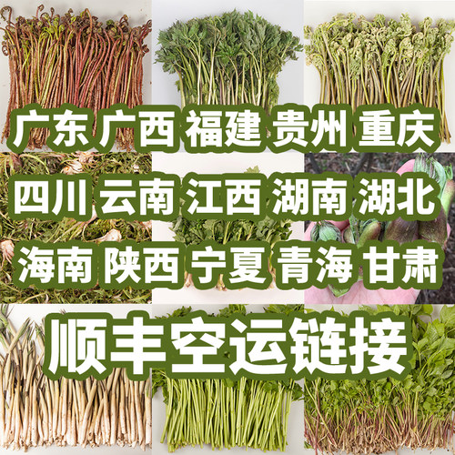 溪味道东北新鲜山野菜【空运链接】